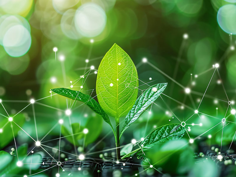 The Engineer’s Role in a Net-Zero Economy