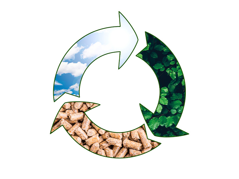 Pyrolysis: The Heart of a Successful Biomass-to-Carbon Project